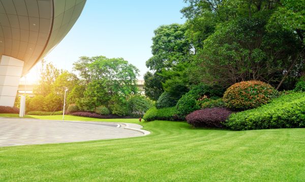 Commercial Shrub Trimming in New Albany