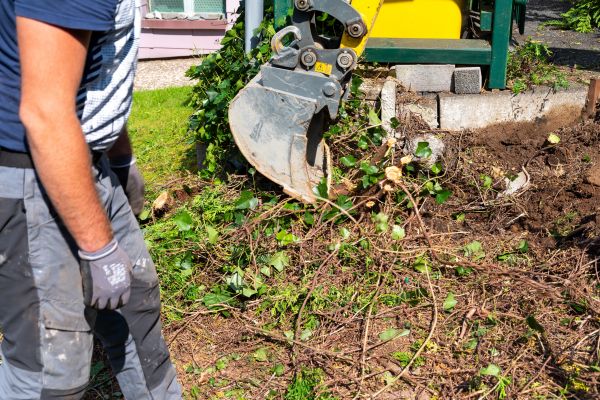 Hedge Removal Service in New Albany