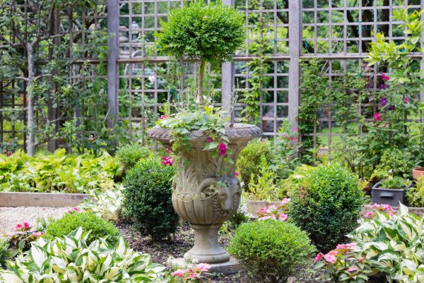 Topiary Pruning in New Albany