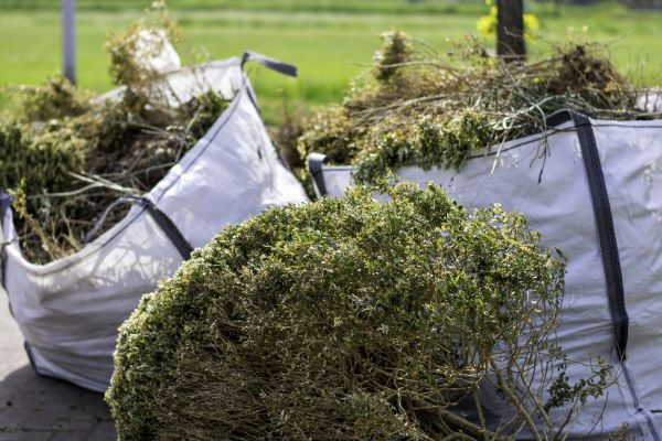 Shrubs Removal in New Albany