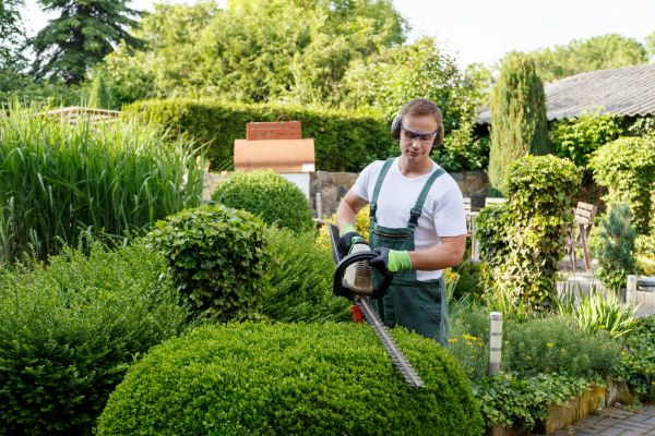 Shrubs Trimming in New Albany
