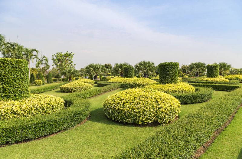 Landscape with Trimmed Bushes