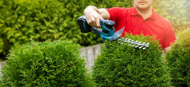 Beautifully Trimmed Shrubs