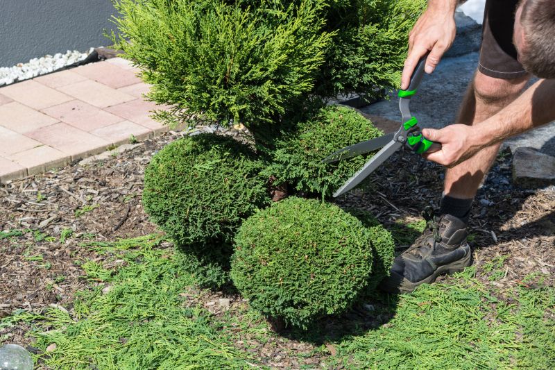 Specialized Shrub Care Services